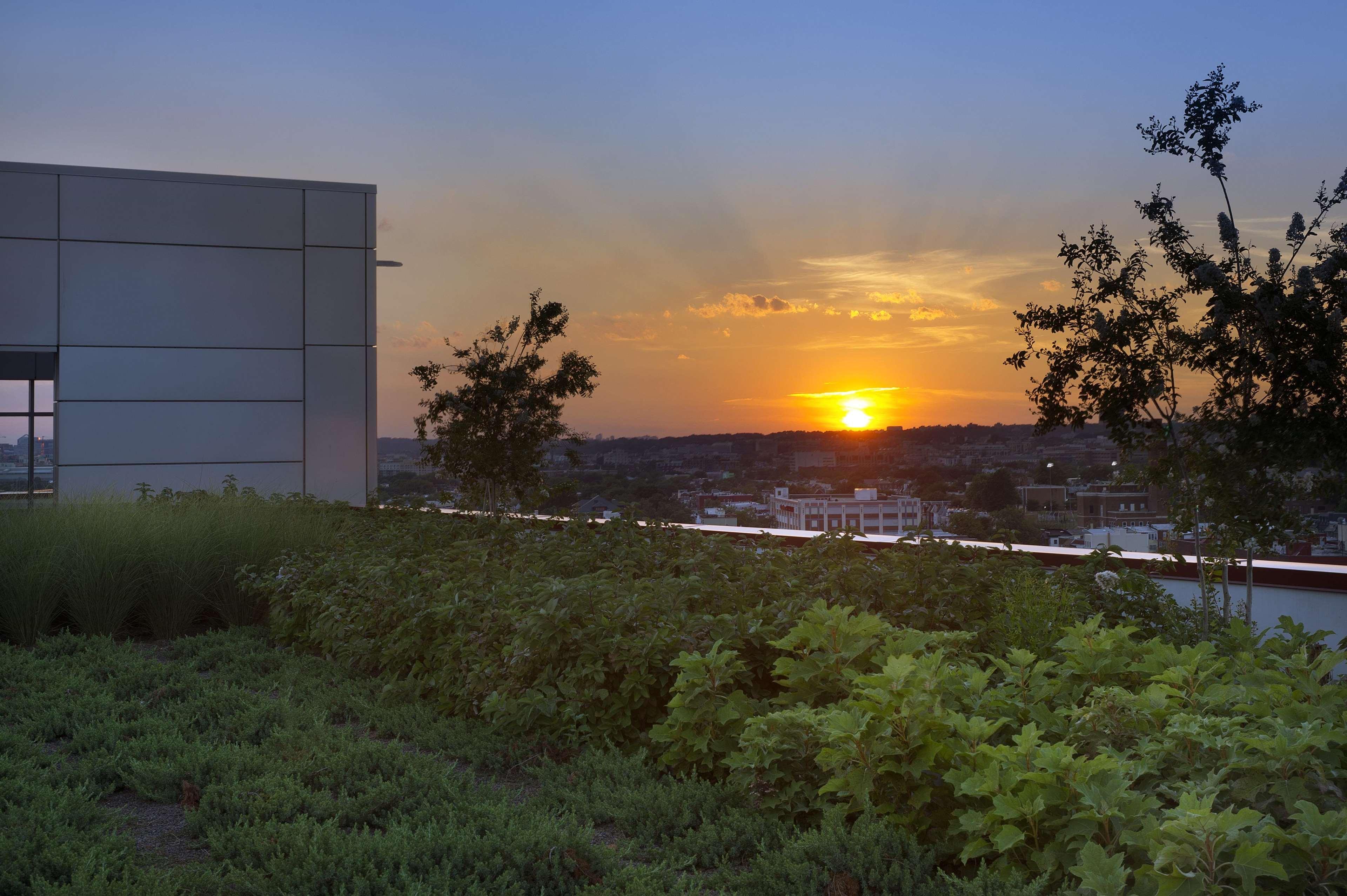 Homewood Suites By Hilton Washington Dc Noma Union Station Exterior foto